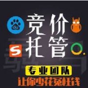 公司公司競(jìng)價(jià)托管推廣